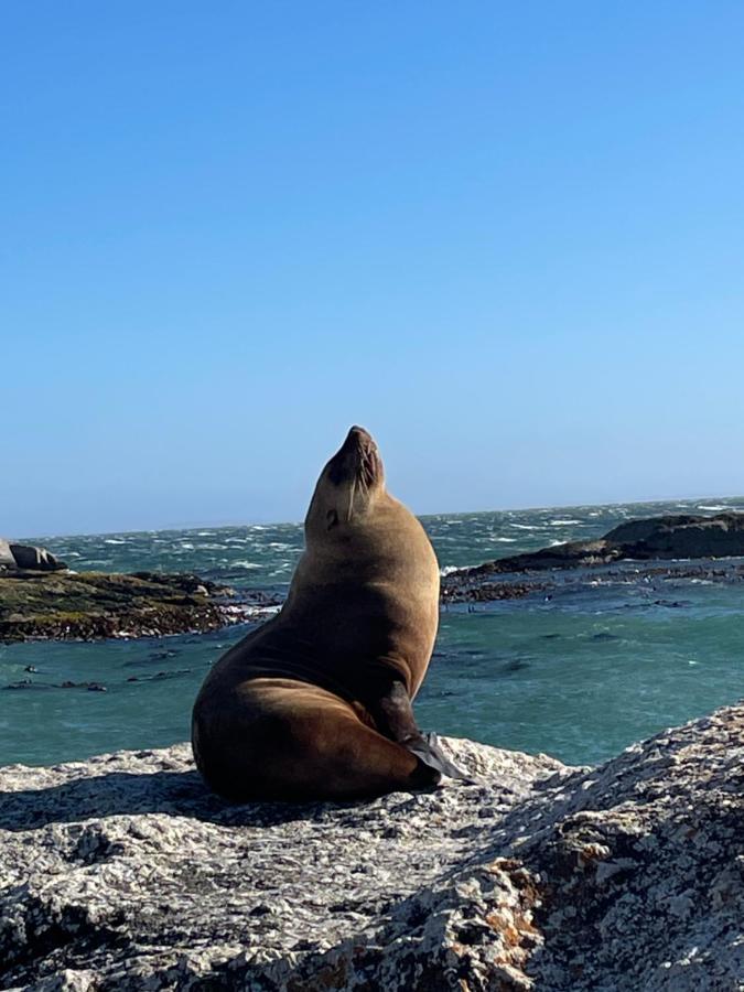 Apartmán Whale Rock Kapské Město Exteriér fotografie