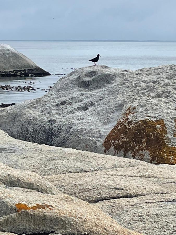 Apartmán Whale Rock Kapské Město Exteriér fotografie