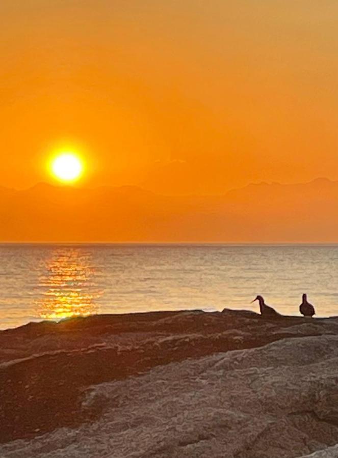 Apartmán Whale Rock Kapské Město Exteriér fotografie